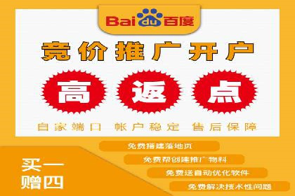 百度竞价代理全攻略：成功案例分享